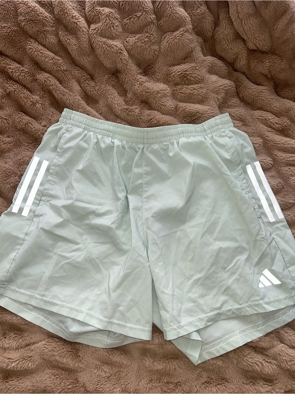 Adidas Light Mint Athletic Shorts